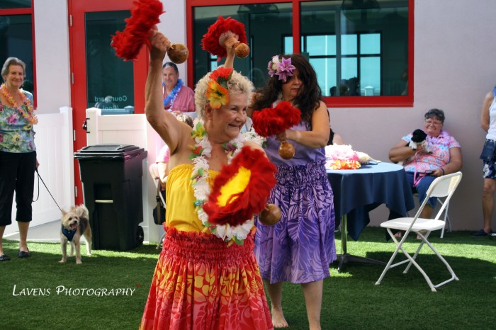 SRQDog_BowWowLuau_6359