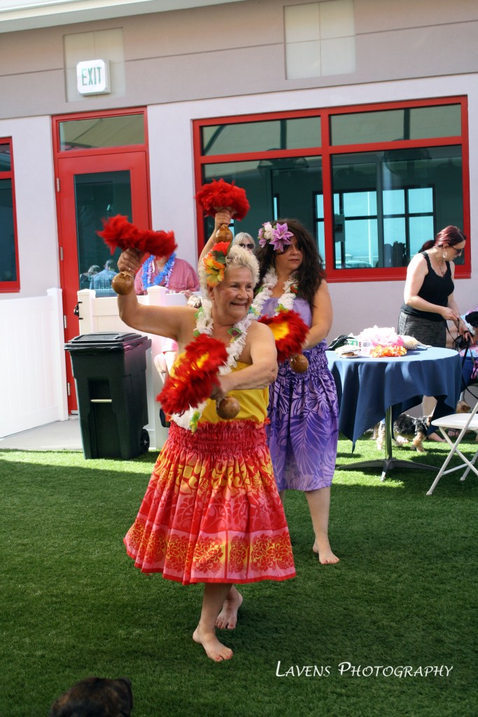 SRQDog_BowWowLuau_6364