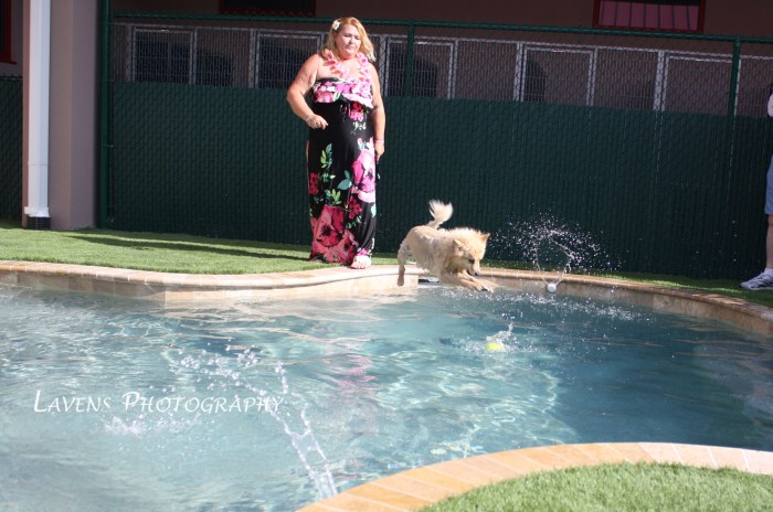 SRQDog_BowWowLuau_6497